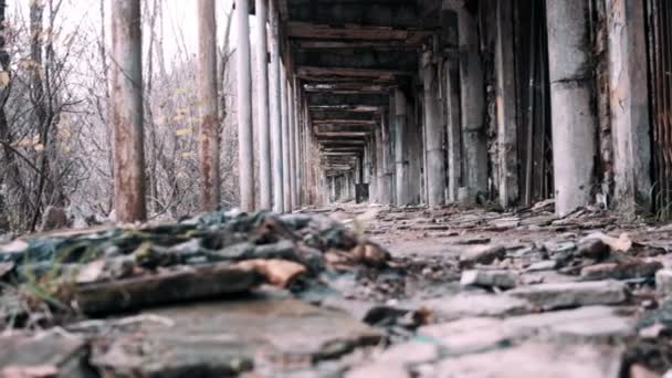 Antiguo túnel abandonado — Vídeo de stock
