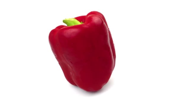 Κόκκινη πιπεριά σε λευκό φόντο — Αρχείο Βίντεο