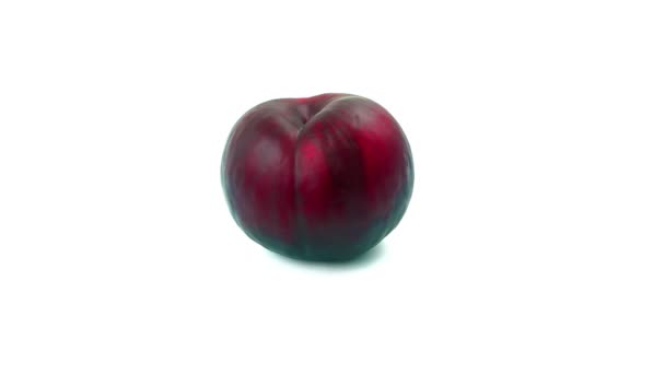 Red Plum on white background — Stock Video