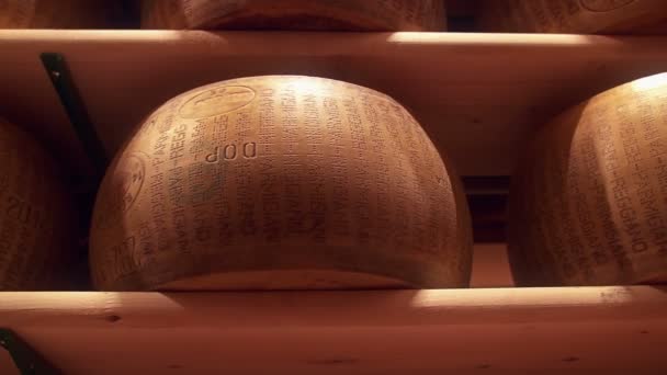 치즈 바퀴 파 Reggiano 공장에 조미료 — 비디오