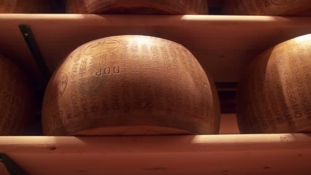 Assaisonnement des roues de parmesan dans une usine de Parmigiano Reggiano — Video