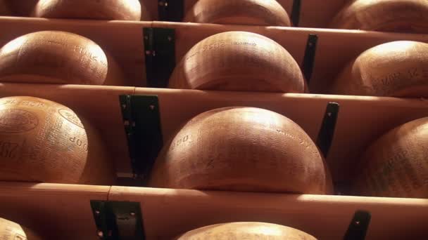 Assaisonnement des roues de parmesan dans une usine de Parmigiano Reggiano — Video