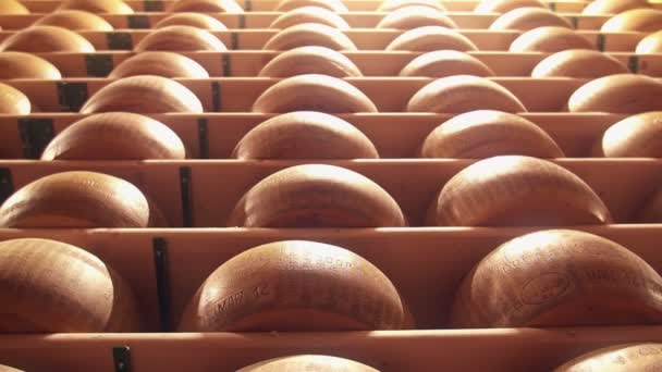 Rodas parmesão tempero em uma fábrica Parmigiano Reggiano — Vídeo de Stock