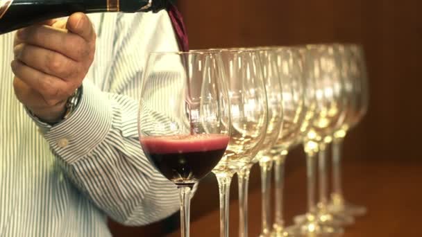 Sommelier main verser du vin rouge dans une rangée de verres en cristal — Video