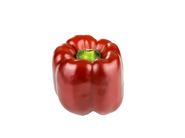 Červená paprika na bílém pozadí — Stock fotografie