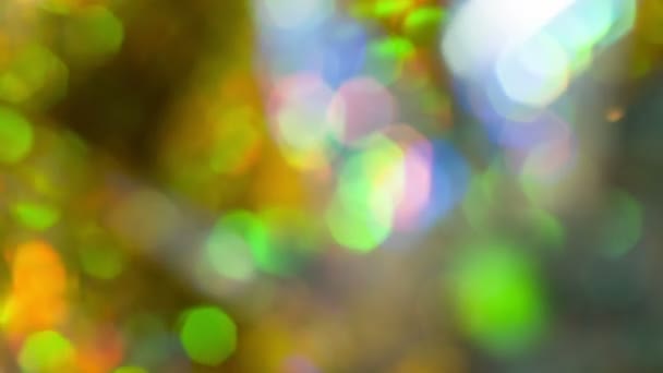 Fond coloré de lumières bokeh 