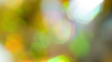 renkli bokeh ışıklar arka plan