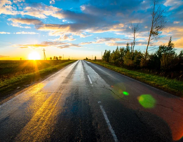 Beautiful nature landscape. Wet asphalt road after rain at sunset — Stock Photo, Image