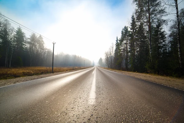 Пустой путь в тумане — стоковое фото