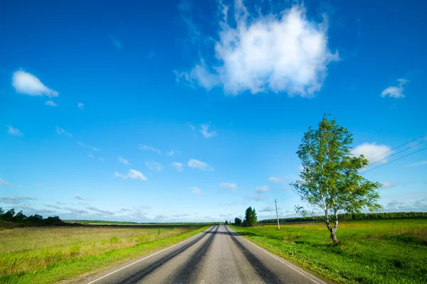 Empty road disappearing into the distance — Stock Photo, Image