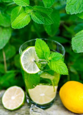 rustik bir tablo taze mojito