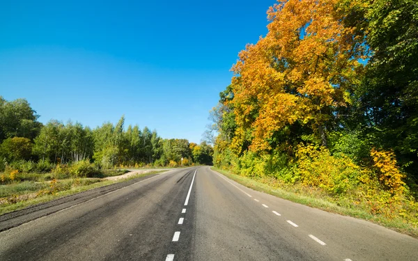 Empty asphalt road — Stock Photo, Image