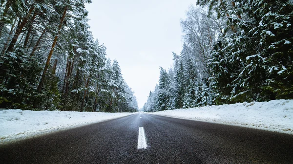 Winter landweg met fir bos aan de kant — Stockfoto