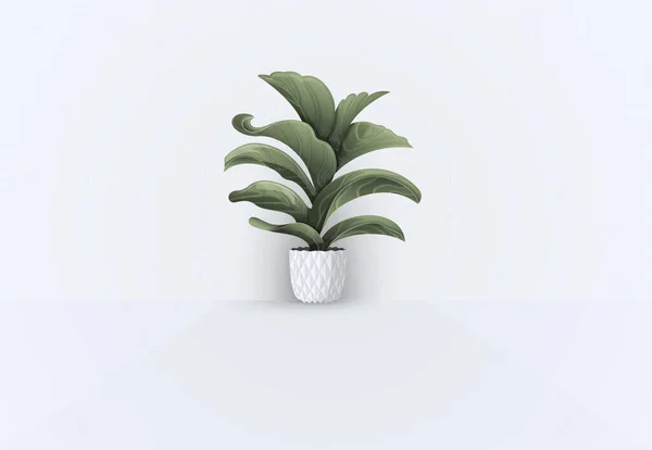 Planta Folhosa Grande Crescendo Vaso Branco Sobre Fundo Branco Isolado — Vetor de Stock