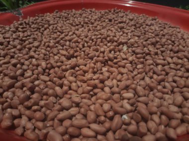 kabuğu soyulmuş fıstıklar.