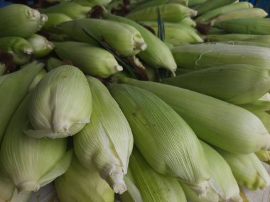 Çiftçi pazarında satılık yerel mısır.