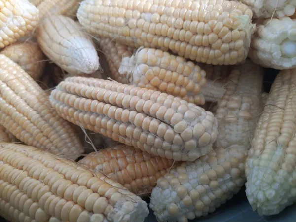 Local Sweet Corn Sale Farmers Market — Stock Photo, Image