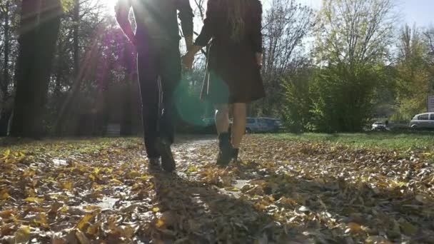 Jovem casal apaixonado andando na natureza — Vídeo de Stock