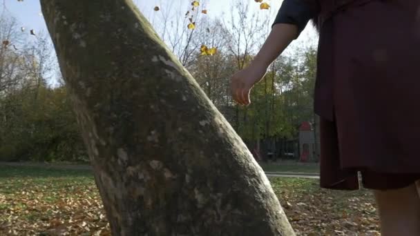 Jong paar in liefde wandelen in de natuur — Stockvideo