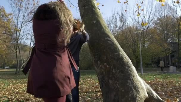 Jong paar in liefde wandelen in de natuur — Stockvideo