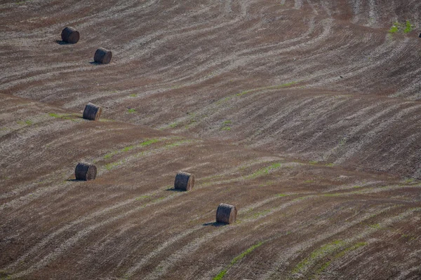 Hay bales in tuscan hills — Stock Photo, Image