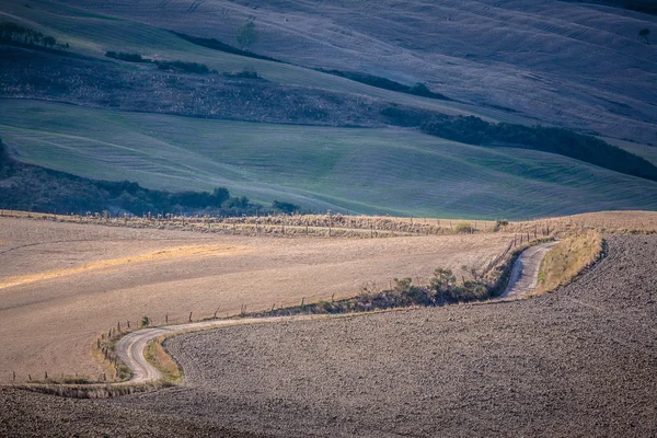 The  long way in tuscan hills — Stock Photo, Image