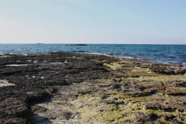 Ada manzarası, sahil, güzel sahil kıyısı, Balear Adaları, Mallorca, İspanya, Akdeniz.