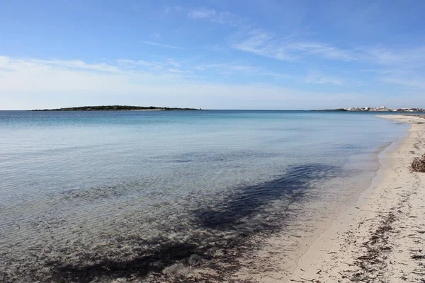 Sziget Táj Strand Gyönyörű Öböl Tengerpart Baleár Szigetek Mallorca Spanyolország — Stock Fotó