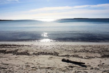 Ada manzarası, sahil, güzel sahil kıyısı, Balear Adaları, Mallorca, İspanya, Akdeniz.