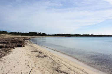 Ada manzarası, sahil, güzel sahil kıyısı, Balear Adaları, Mallorca, İspanya, Akdeniz.