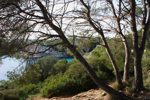 Ada Manzarası Sahil Güzel Sahil Kıyısı Balear Adaları Mallorca Spanya — Stok fotoğraf