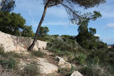 Ada manzarası, sahil, güzel sahil kıyısı, Balear Adaları, Mallorca, İspanya, Akdeniz.