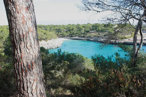 Ada manzarası, sahil, güzel sahil kıyısı, Balear Adaları, Mallorca, İspanya, Akdeniz.
