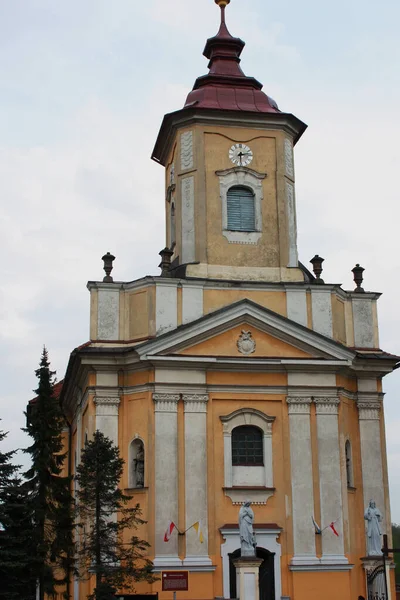 Polonya 'nın Zywiec kentindeki Kutsal Bakire Meryem' in Doğuşu Kilisesi..