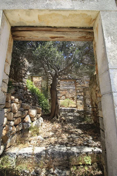 Terk edilmiş eski kale ve eski cüzzamlı kolonisi, Spinalonga Adası, Girit, Yunanistan. 1950 'lerin sonlarında terk edilmiş eski binalar. 