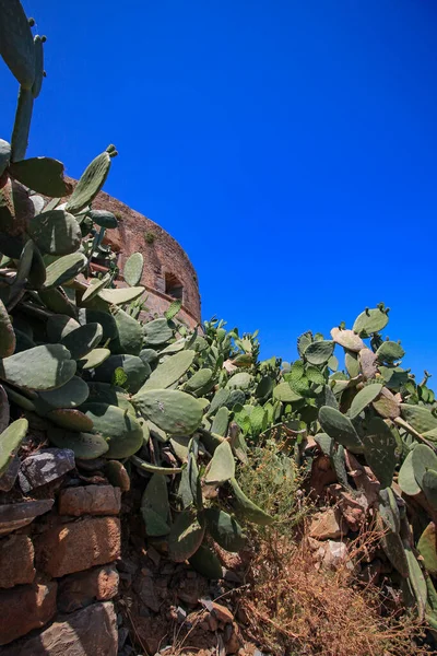 Terk edilmiş eski kale ve eski cüzzamlı kolonisi, Spinalonga Adası, Girit, Yunanistan. 1950 'lerin sonlarında terk edilmiş eski binalar. 
