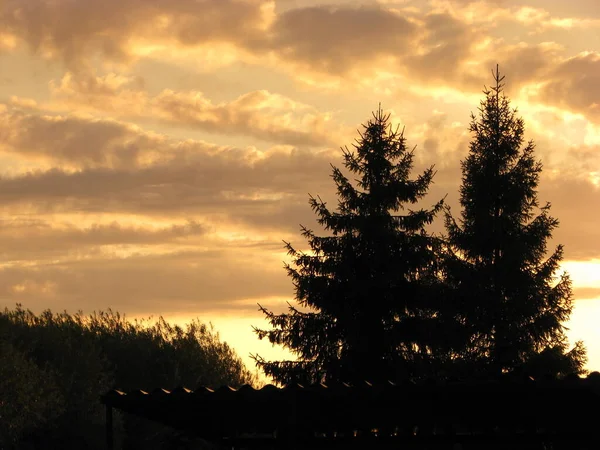 Puesta Sol Sobre Bosque Sammer —  Fotos de Stock