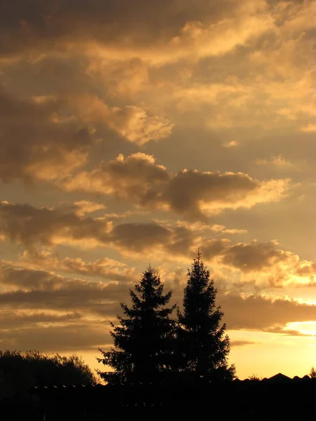 Pôr Sol Sobre Sammer Floresta — Fotografia de Stock