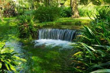 Roma eyaleti bahçe perisi