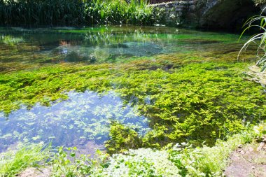 Roma eyaleti bahçe perisi