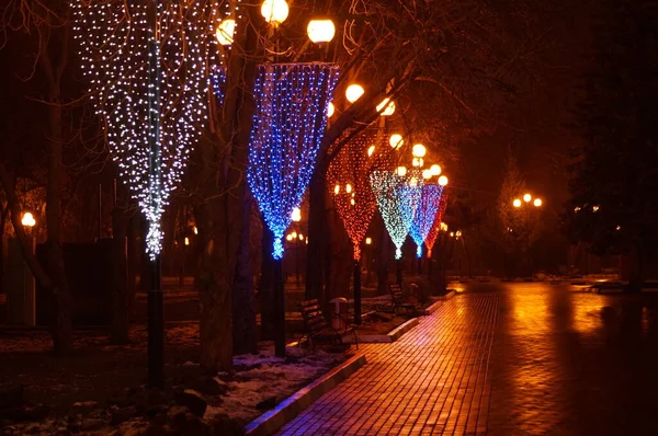 Belles lumières de Noël sur une rangée d'arbres, Russie — Photo