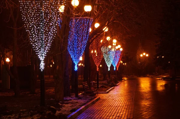 Rusya 'da ağaçların üzerinde güzel Noel ışıkları