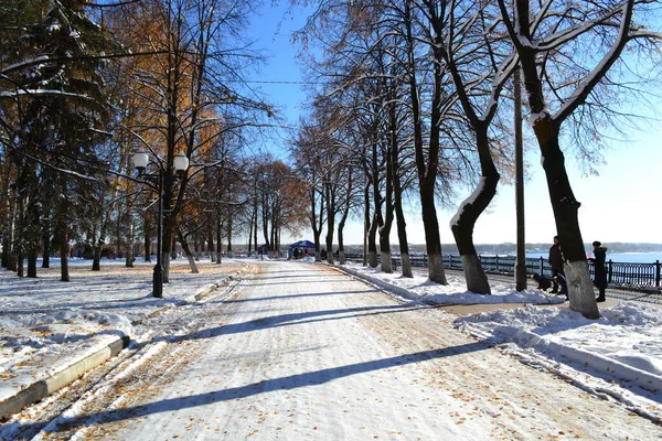 Açık güneşli havada kış parkı. Güzel bir gökyüzü.