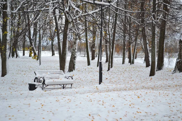 Açık güneşli havada kış parkı. Güzel bir gökyüzü
