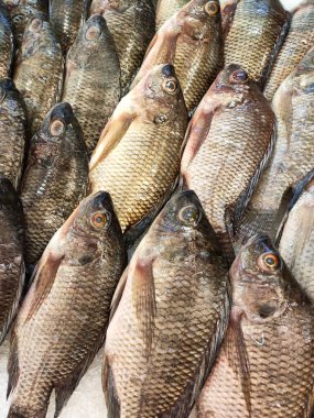 SEREMBAN, MALAYSIA -HAZİRAN 20, 2020: Balık pazarında çeşitli balık türleri satışa sunulmaktadır. Türlere göre ayrılmışlar ve buzda düzgünce dizilmişler..