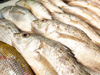 SEREMBAN, MALAYSIA -HAZİRAN 20, 2020: Balık pazarında çeşitli balık türleri satışa sunulmaktadır. Türlere göre ayrılmışlar ve buzda düzgünce dizilmişler..