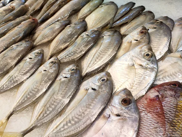 Seremban Malaysia January 2020 Various Types Fish Fish Market Displayed — Stock Photo, Image