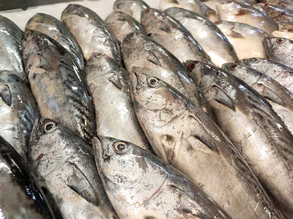 Seremban Malaysia January 2020 Various Types Fish Fish Market Displayed — Stock Photo, Image