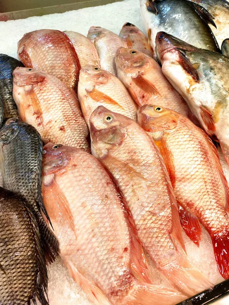 Seremban Malaysia January 2020 Various Types Fish Fish Market Displayed — Stock Photo, Image