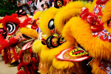 SEREMBAN, MALAYSIA - 2 Şubat 2017: Çin aslan maskesi veya aslan kafası Çin Yeni Yıl Festivali sırasında Seremban, Malezya 'da aslan dansı yaptı. Güzel & Renkli. 